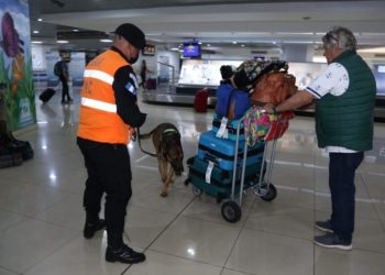 Más de 30 detenidos durante 2022 en el aeropuerto La Aurora por actos ilícitos
