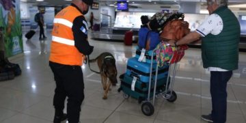 Más de 30 detenidos durante 2022 en el aeropuerto La Aurora por actos ilícitos