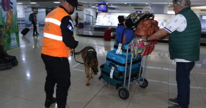 Más de 30 detenidos durante 2022 en el aeropuerto La Aurora por actos ilícitos