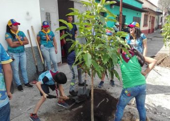 Lanzan campaña Adopta un Árbol, que busca contribuir con la reforestación