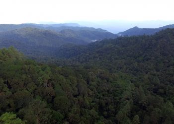 Alianza multisectorial fortalece protección de la biodiversidad de Baja Verapaz