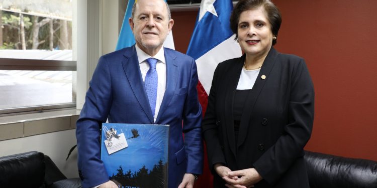 La viceministra Ava Atzum recibió al nuevo embajador en la Cancillería.