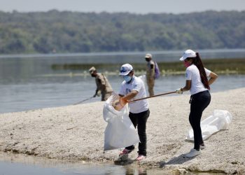 Programa Playas Limpias fomenta la conservación de la vida marina.