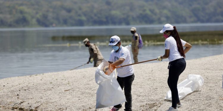 Programa Playas Limpias fomenta la conservación de la vida marina.