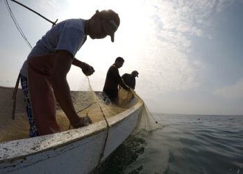 Guatemala y Panamá firman memorando para combatir pesca ilegal