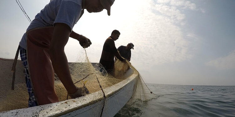 Guatemala y Panamá firman memorando para combatir pesca ilegal