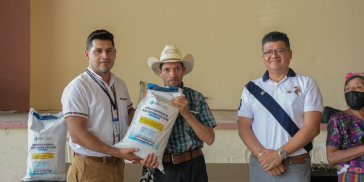 Otorgan semillas de frijol en Cubulco, Baja Verapaz