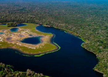 Guatemala expone proyecto de concesiones forestales ante la ONU