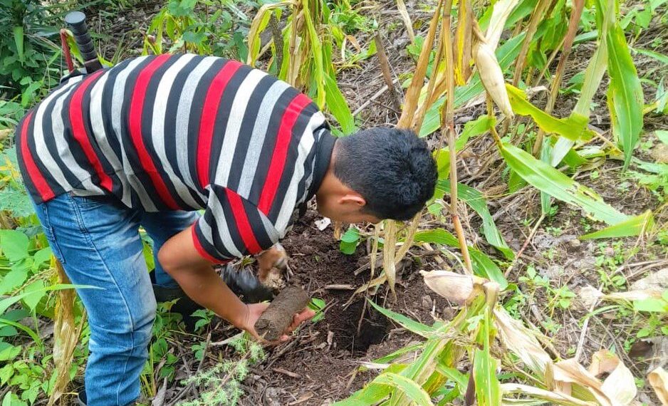 El Marn realizó jornadas de reforestación en El Progreso.