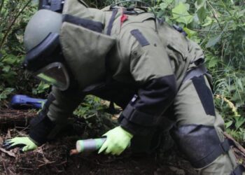 PNC reporta más de 70 capturados en las últimas 24 horas