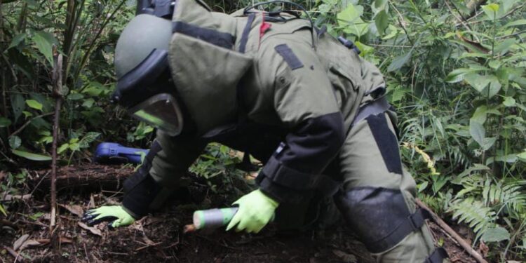 PNC reporta más de 70 capturados en las últimas 24 horas