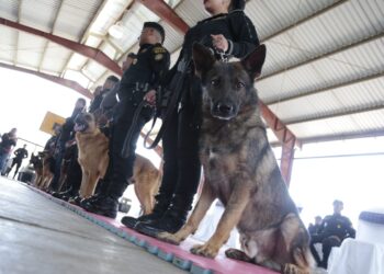 Gobierno de Estados Unidos entrega 22 agentes caninos a la PNC