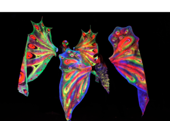 Obra titulada "Around the World in 80 Minutes". /Foto: Teatro Negro de Praga