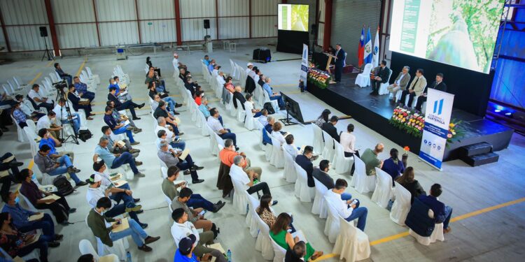 Guatemala celebra Primer Congreso Nacional del Bambú