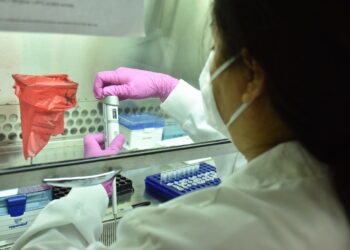 Confirman dos casos más de viruela símica en el país