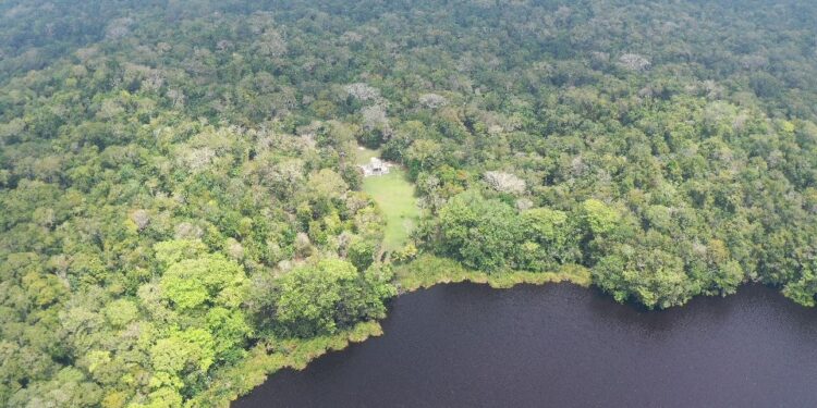 Guatemala, ejemplo de recuperación y conservación de bosques en Petén