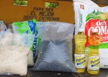 MAGA contribuye a la seguridad alimentaria de más de 4 mil familias de Santa Rosa