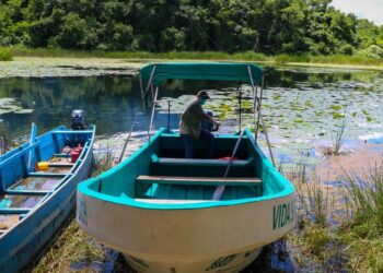 Alianza interinstitucional incrementa vigilancia de actividad pesquera en lago Petén Itzá
