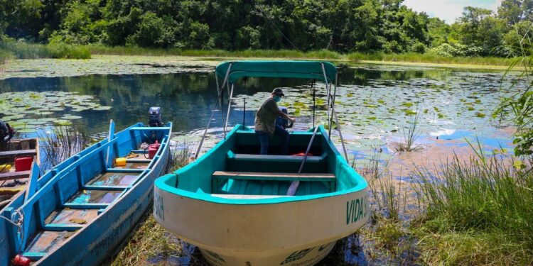 Alianza interinstitucional incrementa vigilancia de actividad pesquera en lago Petén Itzá