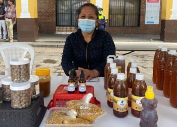 Mujeres huehuetecas participan en Festival por la Empleabilidad, Emprendimiento y Desarrollo