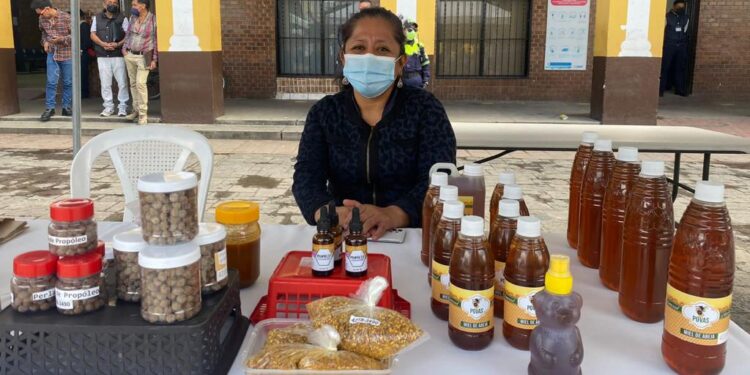 Mujeres huehuetecas participan en Festival por la Empleabilidad, Emprendimiento y Desarrollo