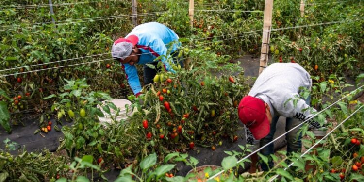 Huehuetenango busca fortalecer alianzas a favor de la seguridad alimentaria