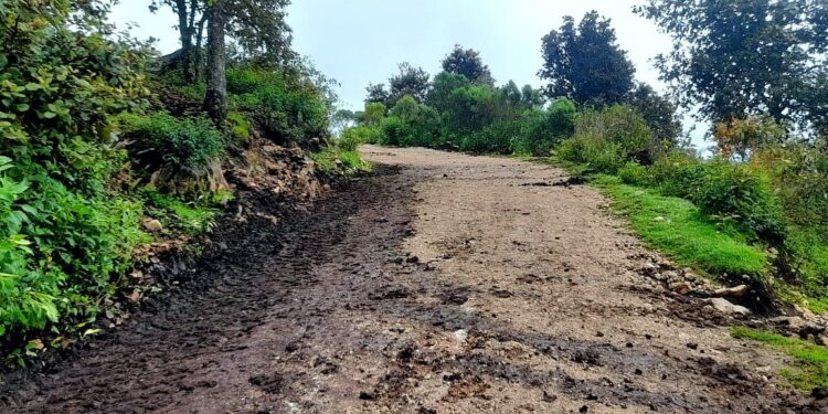 Al menos un millón de pobladores beneficiados con la rehabilitación de caminos rurales