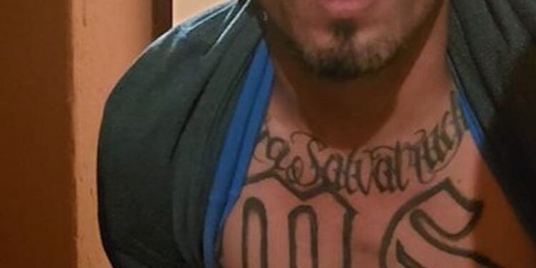 Presunto líder de “mara Salvatrucha” capturado en operativo antipandillas