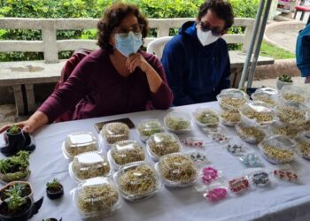 Inauguran Feria Mipyme y Formalización en Huehuetenango