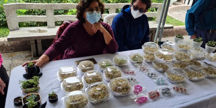 Inauguran Feria Mipyme y Formalización en Huehuetenango