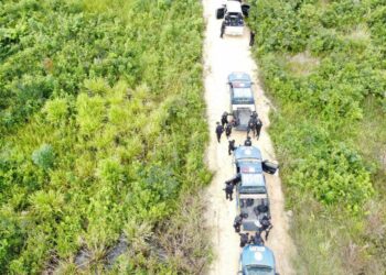 Agentes de seguridad eliminan pistas clandestinas en Petén. /Foto: PNC