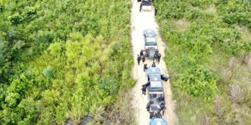 Agentes de seguridad eliminan pistas clandestinas en Petén. /Foto: PNC