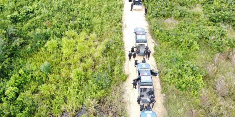 Agentes de seguridad eliminan pistas clandestinas en Petén. /Foto: PNC