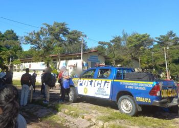 Interceptan a 102 extranjeros que ingresaron de manera irregular al país