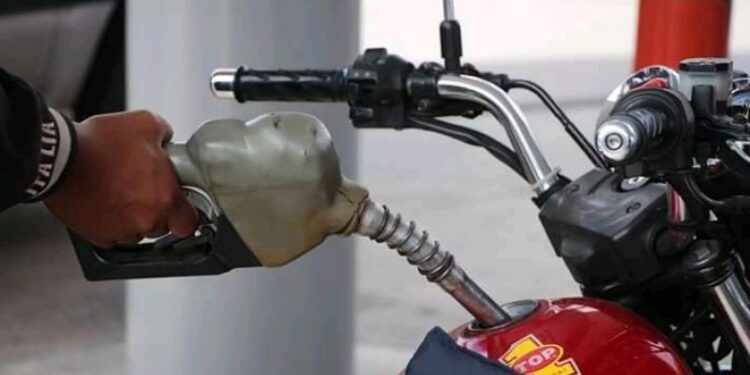 Actualizan precios de referencia del diésel para la presente semana