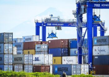 Se han asignado 62 mil 713 toneladas de granos a través de contingentes arancelarios