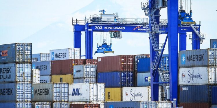 Se han asignado 62 mil 713 toneladas de granos a través de contingentes arancelarios