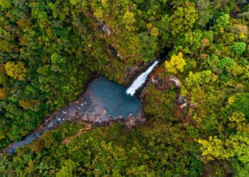 Reserva Natural Privada Ram Tzul. /Foto: CONAP