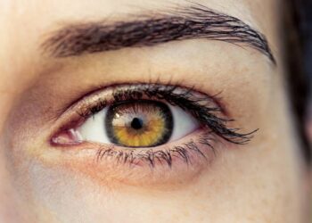 Proponen una nueva estrategia para tratar la degeneración de la retina