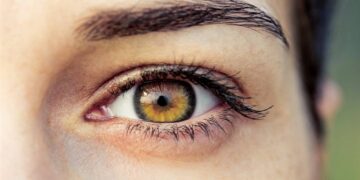 Proponen una nueva estrategia para tratar la degeneración de la retina