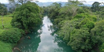 Los ríos son manantiales de vida natural. /Foto: MARN
