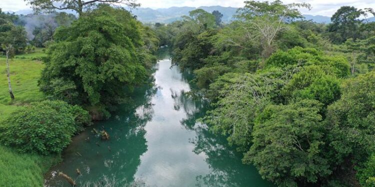 Los ríos son manantiales de vida natural. /Foto: MARN