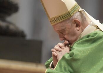 papa