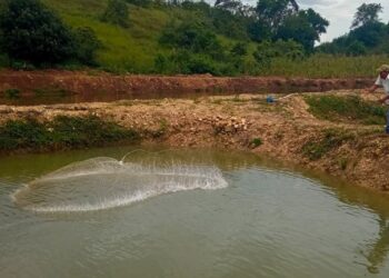 MAGA fortalece acuicultura en Petén