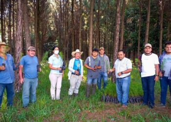 MAGA contribuye al desarrollo forestal en Petén