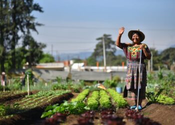Guatemala se une a la conmemoración del Día Internacional de la Mujer Rural