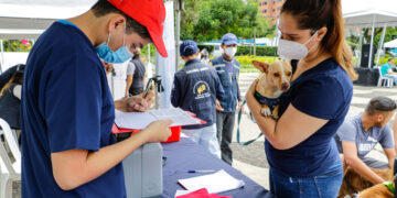 Llevan a sus mascotas a jornadas de vacunación contra la rabia