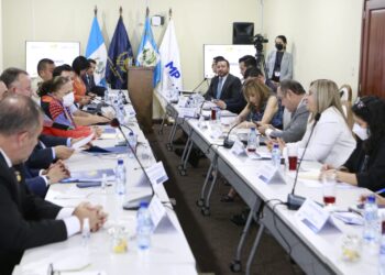 El Centro Interinstitucional contra la Narcoactividad en Guatemala (CICNAG).