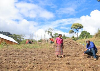 Socializan estudio sobre determinación de cobertura vegetal y uso de tierra