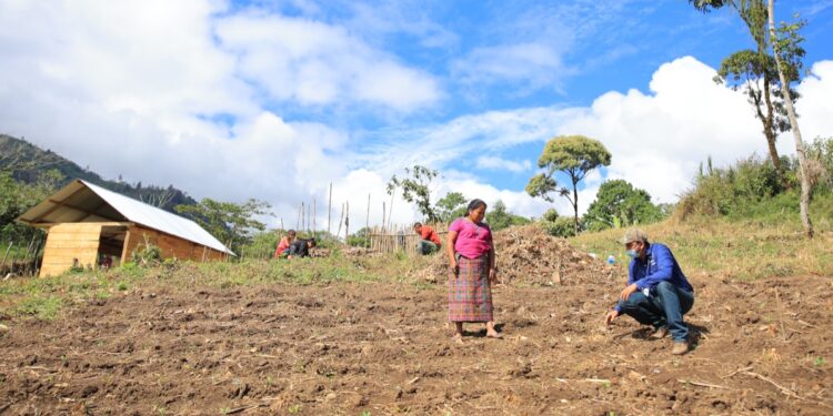 Socializan estudio sobre determinación de cobertura vegetal y uso de tierra